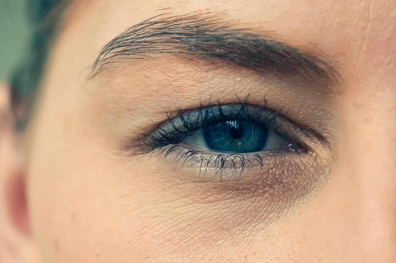 Close-up of a natural brow above a blue eye, every fine hair visible